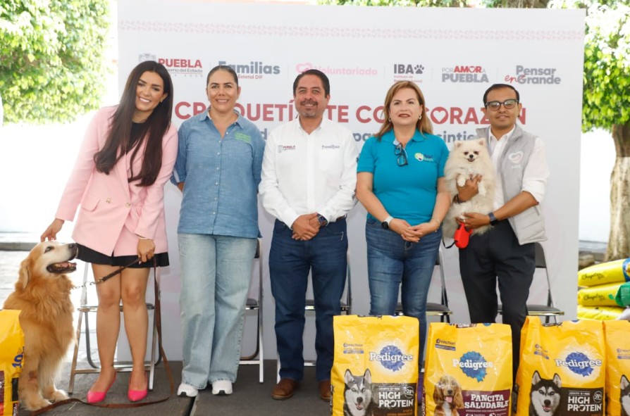 Jornada en favor del bienestar animal