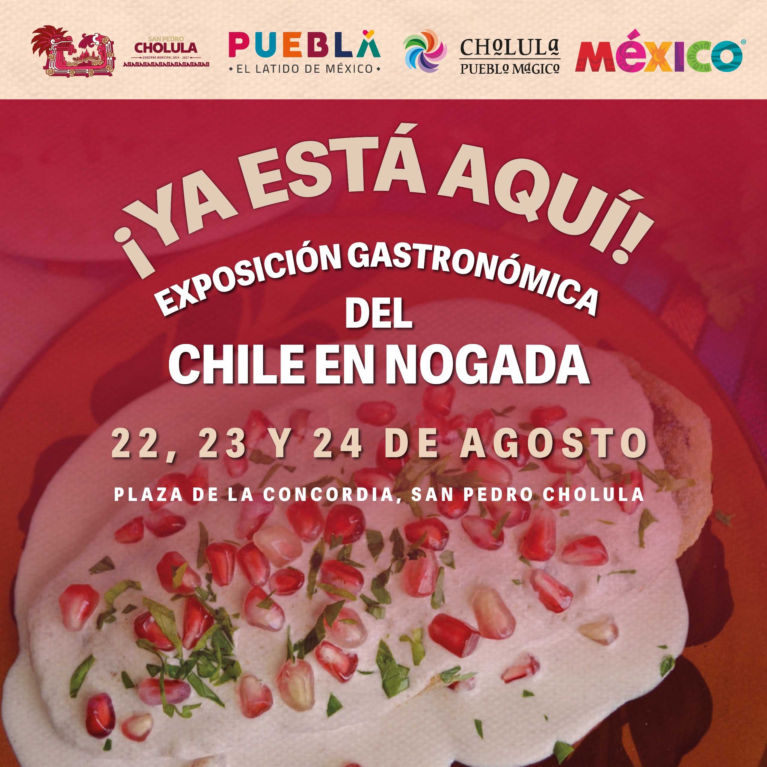 invita tfd expo chiles nogada 3