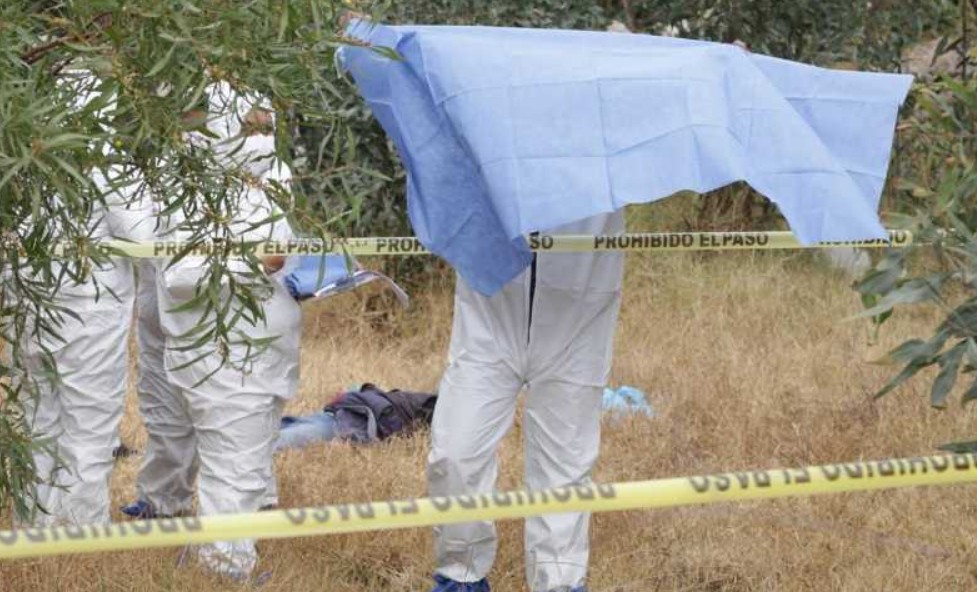 Hallazgo de cadáver calcinado