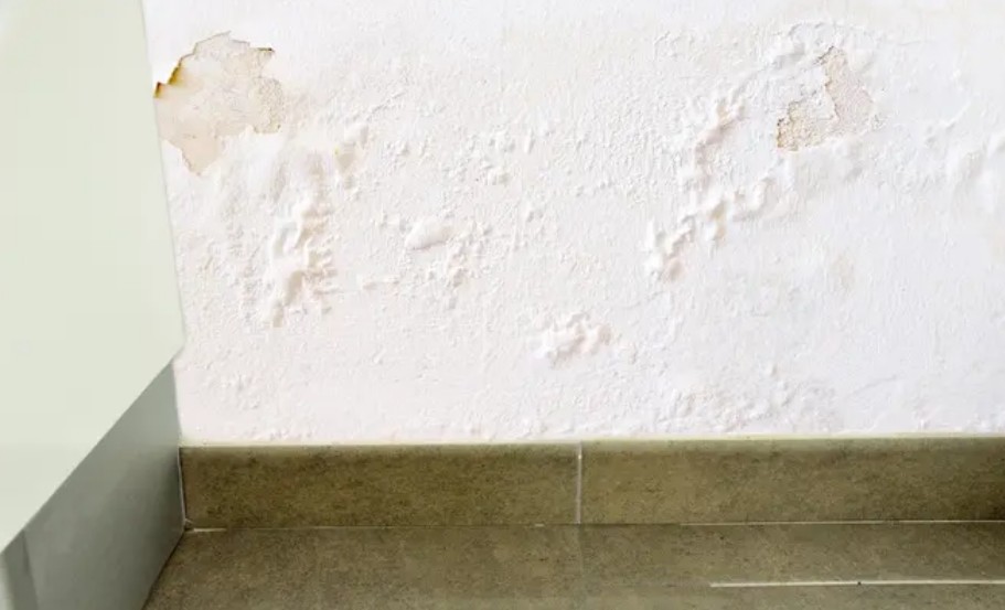 Por qué aparece el salitre en las paredes