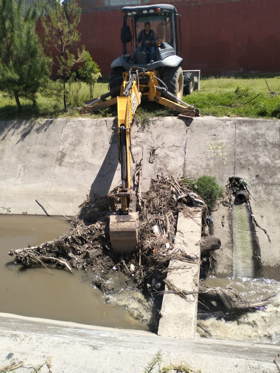 atiende tfd reporte ciudadano 3