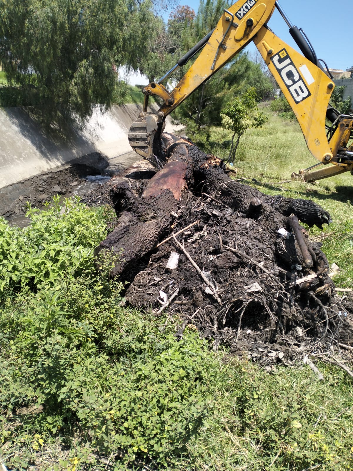 atiende tfd reporte ciudadano 4