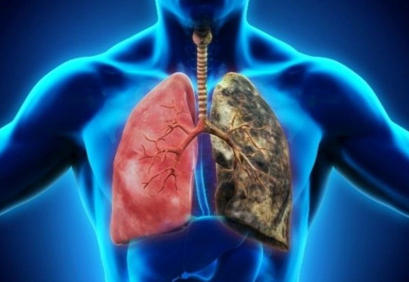 El tabaco: una amenaza letal que cobra millones de vidas cada año