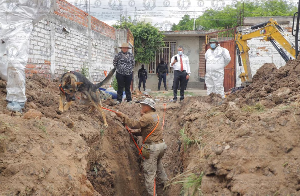 Hallan 32 cuerpos en fosa clandestina de Irapuato; 15 ya fueron identificados