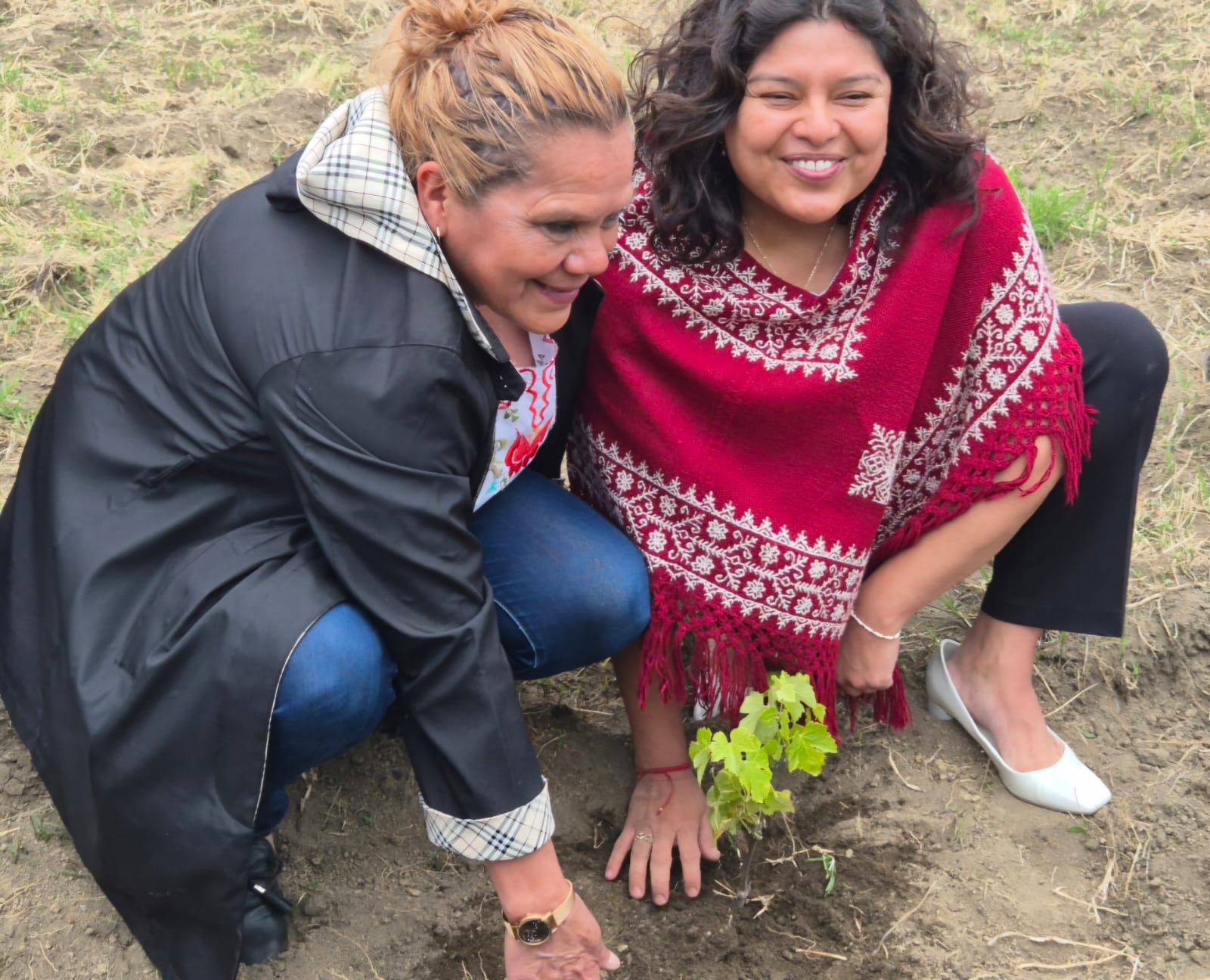 calpan chiles en nogada kpp 3