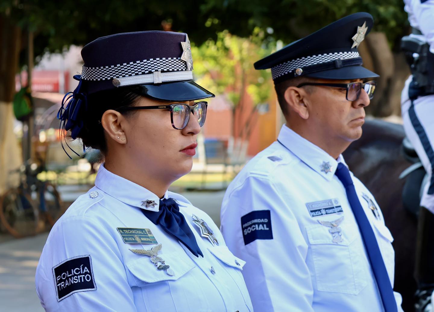 guadalupe reyes 2025 2026 sach 3