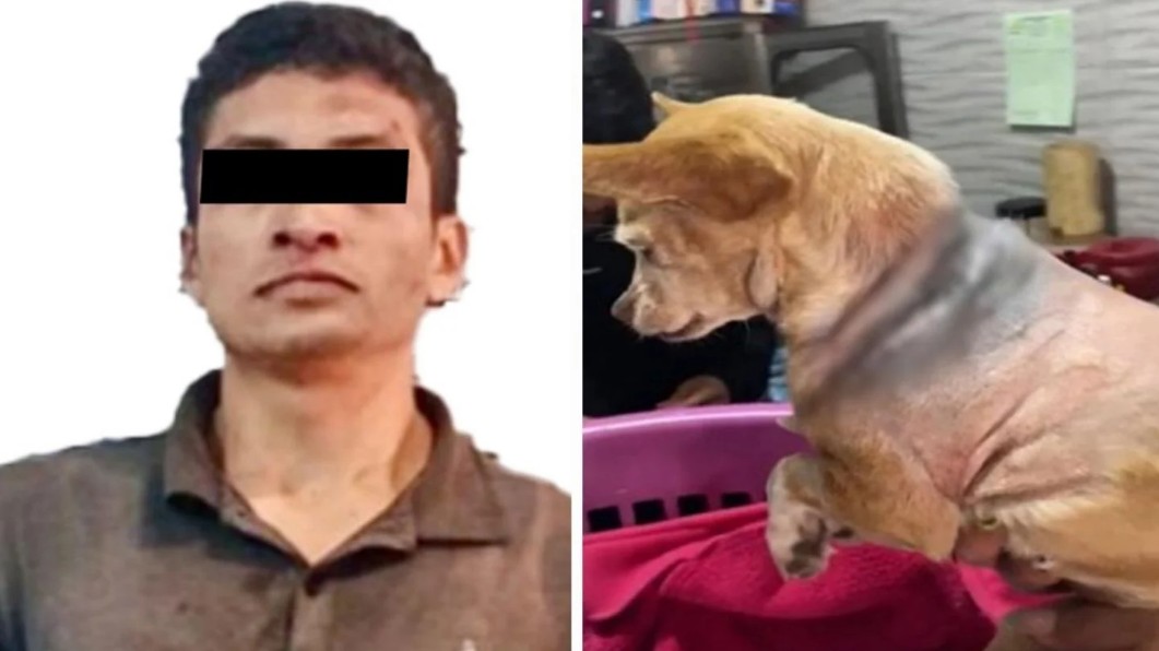 El ataque que desató indignación