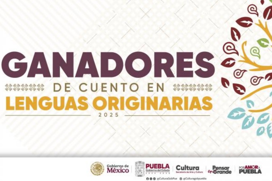 Literatura indígena que fortalece la identidad cultural