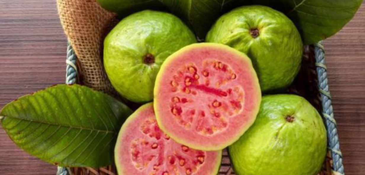 Propiedades curativas de las hojas de guayaba que pocos conocen