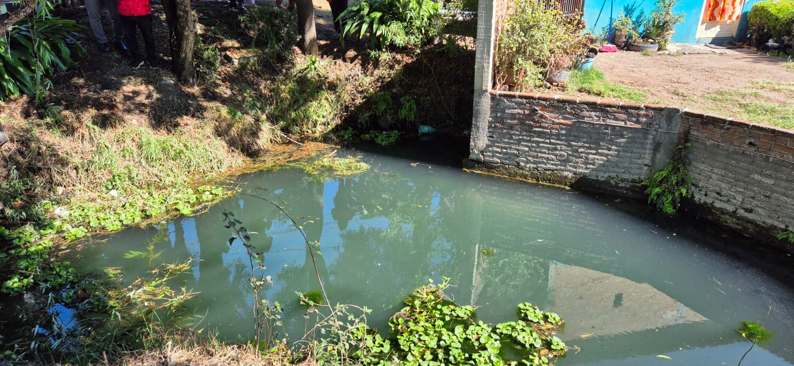 Armando Aguirre apuesta por la sustentabilidad hídrica: Hoy toco limpieza de Ameyal Axochitecatlán