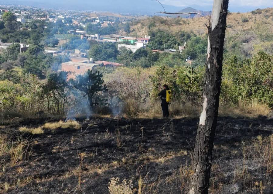 Lluvias atípicas no impiden incendios en cerro Zapotecas