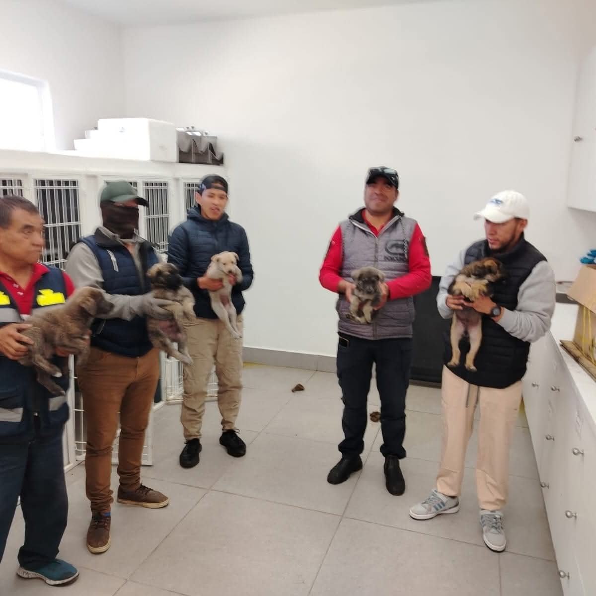 Rescatan a 10 cachorros del abandono en Tzompantepec; CBA llama a la adopción