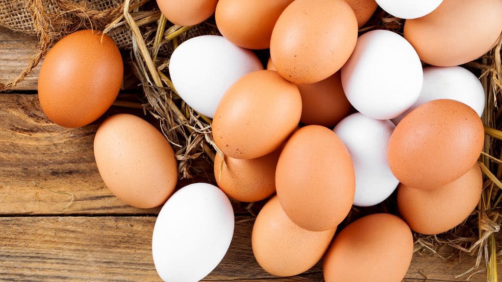 El huevo, un aliado clave para la salud y la alimentación diaria