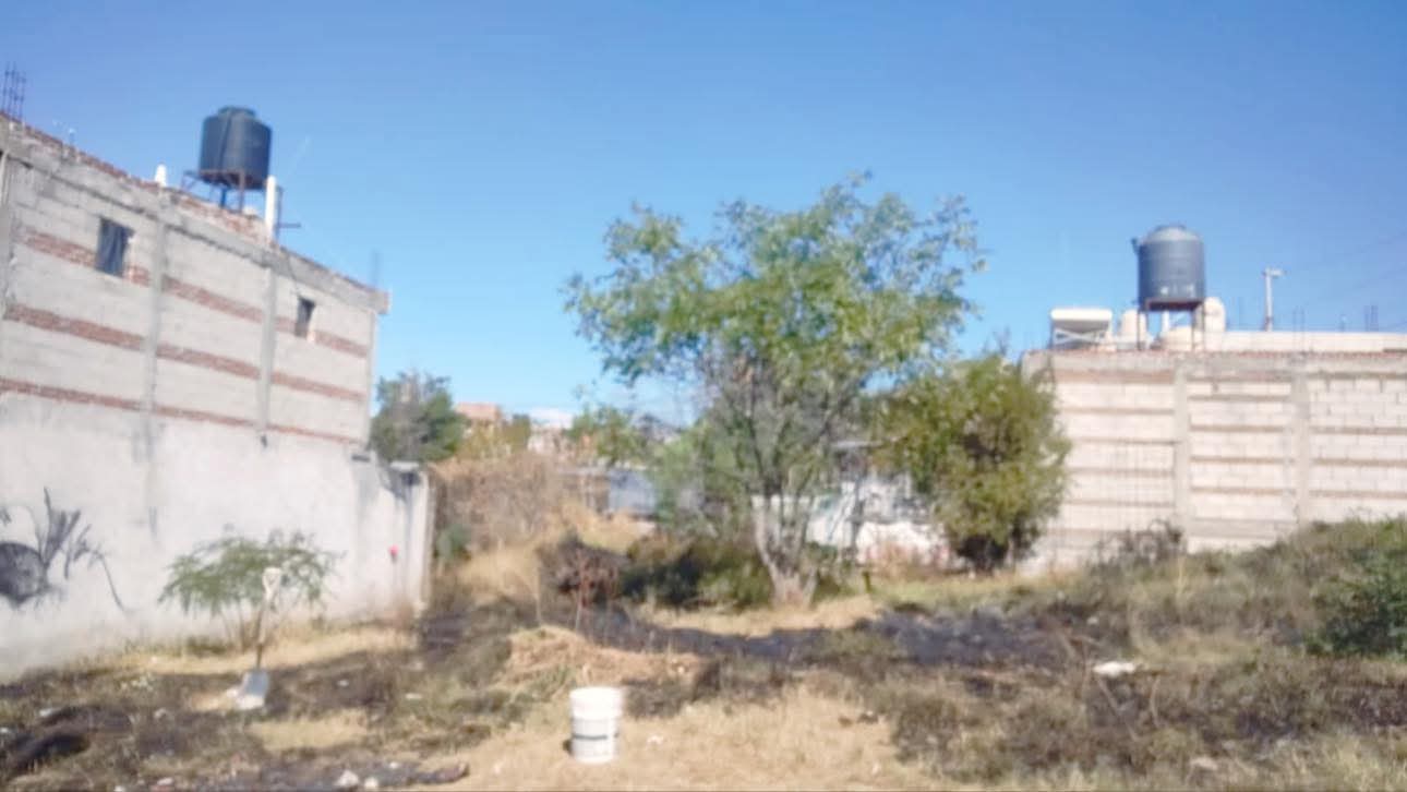 Ciudadanía y Protección Civil evitan riesgos por incendio de pastizal en Cuautlancingo