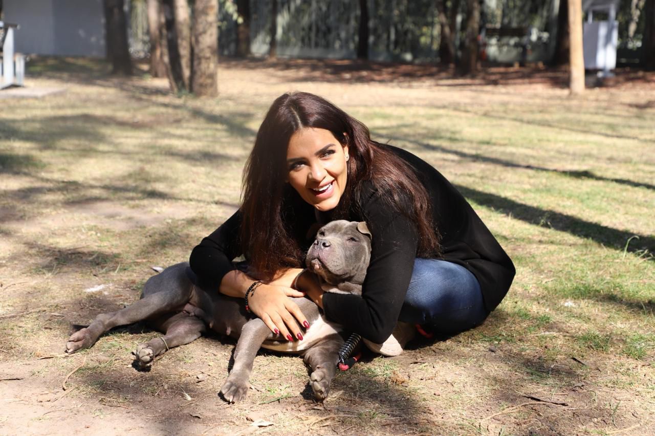 IBA se deslinda de expo en el Zócalo y reafirma su postura ética