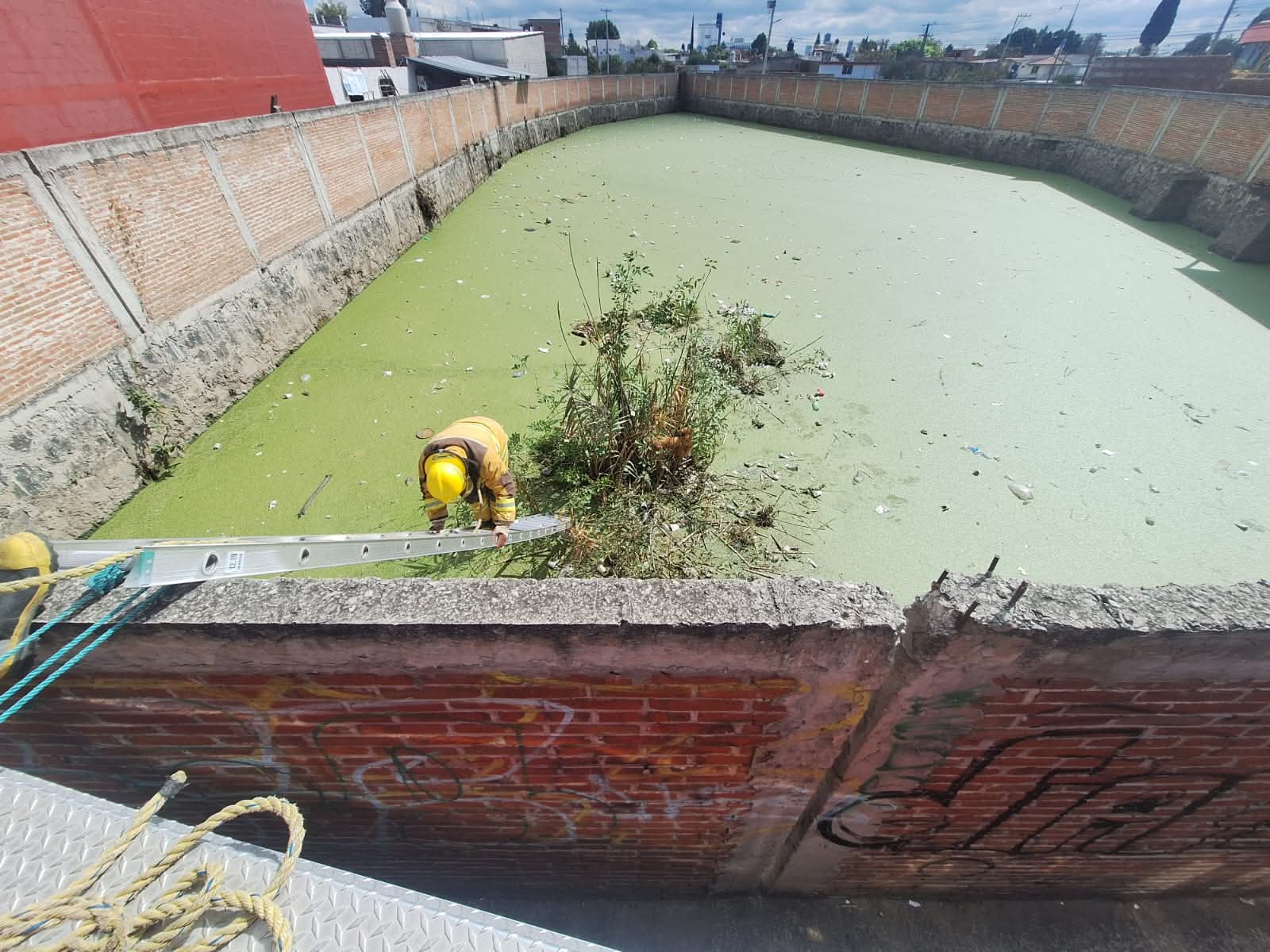 Bomberos de Cuautlancingo salvan a mascota tras caer en cuerpo de agua