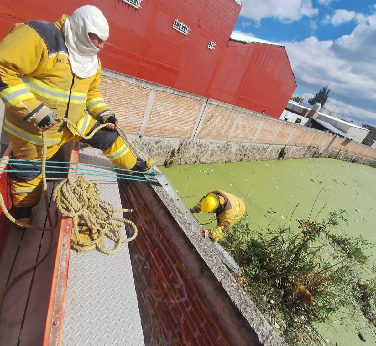 Bomberos de Cuautlancingo salvan a mascota tras caer en cuerpo de agua