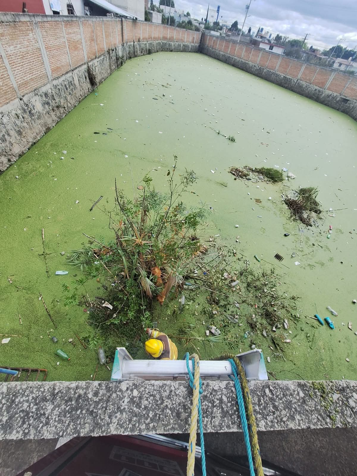 salvaguardan perro caido en pozo cuautlancingo 3
