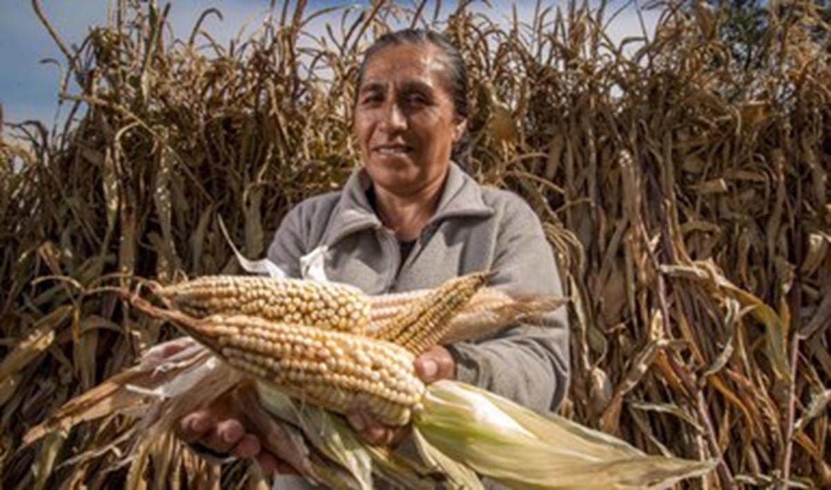 Producción para el Bienestar inicia actualización del padrón en Tlaxcala