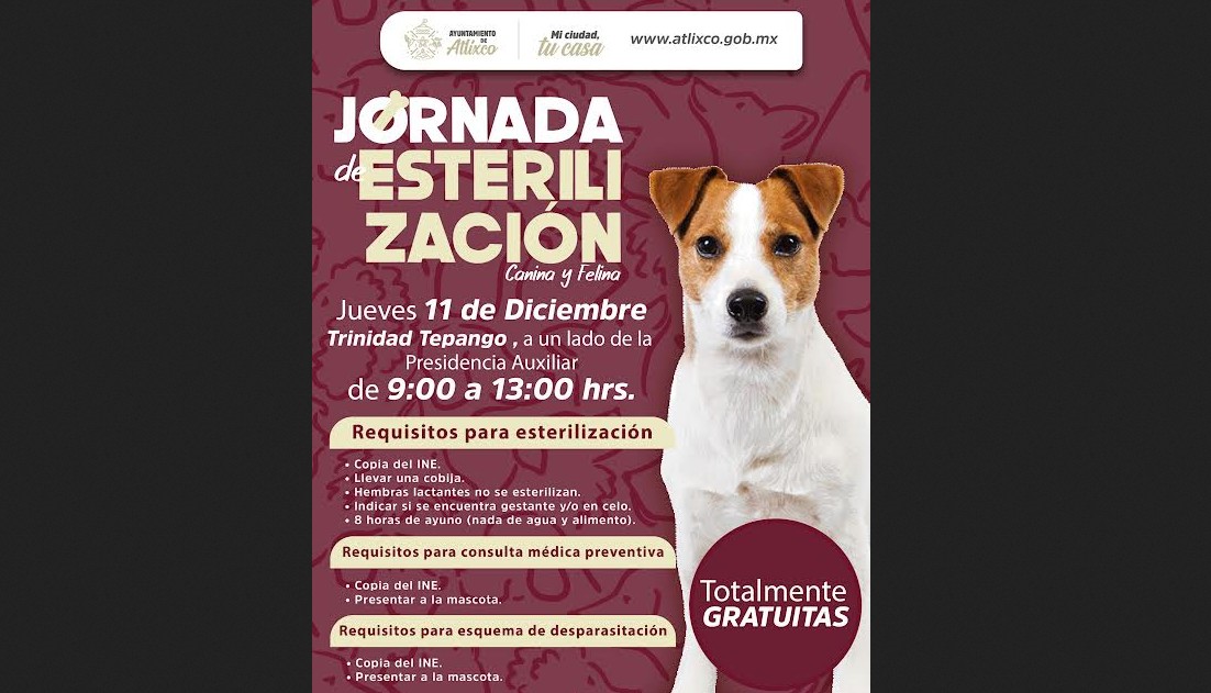 Atención gratuita que sigue llegando a las colonias