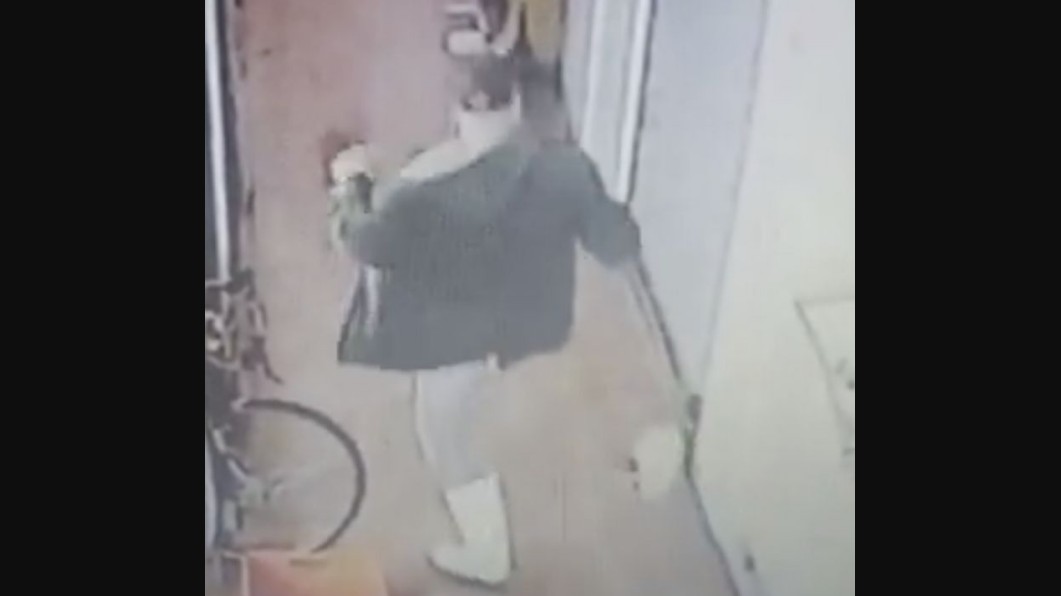 Indignación total en Ecatepec por la agresión a un gatito