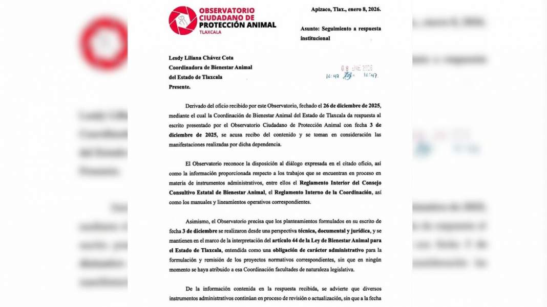 Alertan fallas que frenan la Ley de Bienestar Animal en Tlaxcala