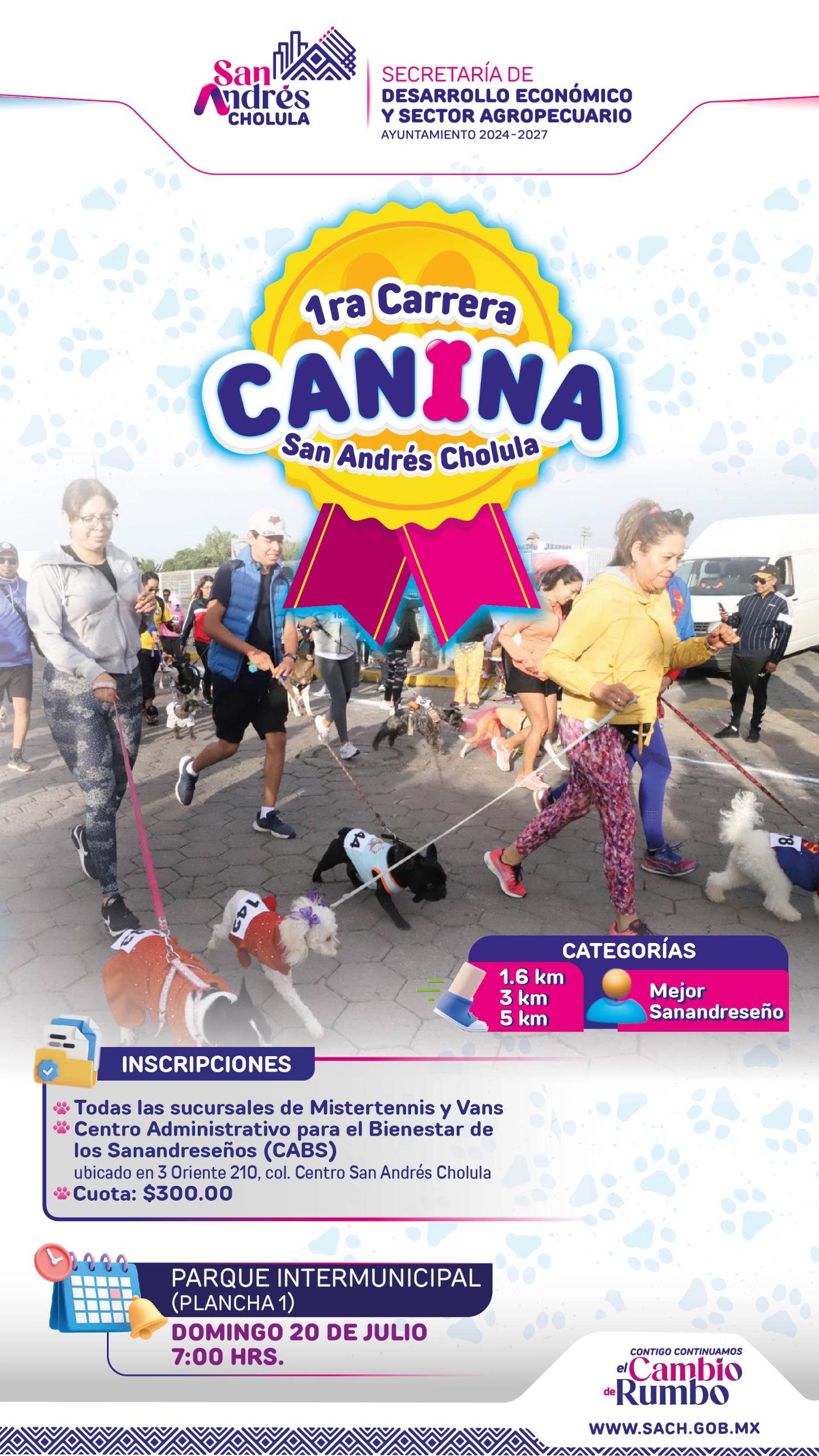 primera carrera canina sach 6