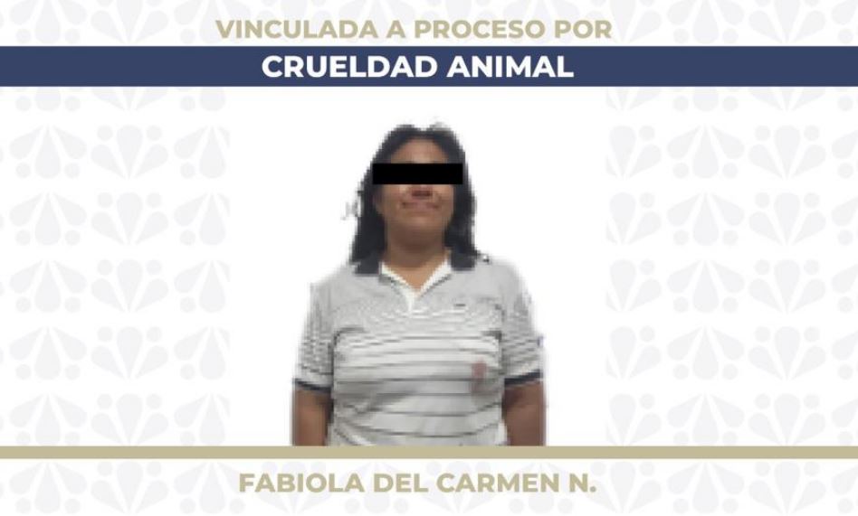 Fabiola del Carmen N. vinculada a proceso por crueldad animal en Puebla