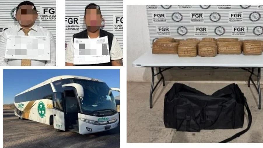 Detienen a dos en Sonora por transporte de marihuana en autobús