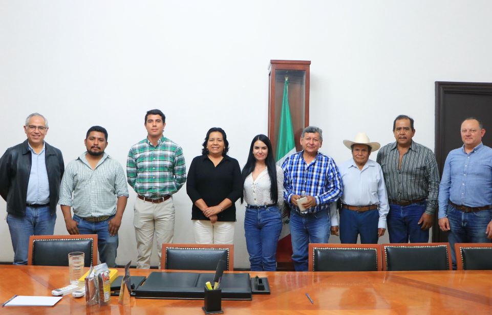 Puebla refuerza su liderazgo en producción de sorgo con nuevas estrategias