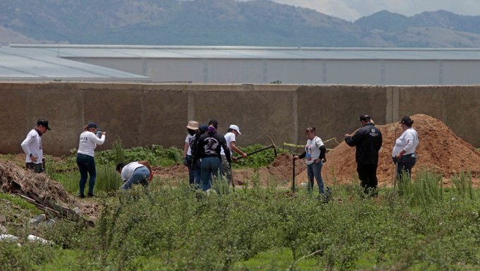 Hallan 211 bolsas con restos humanos cerca de campus UdeG en Zapopan