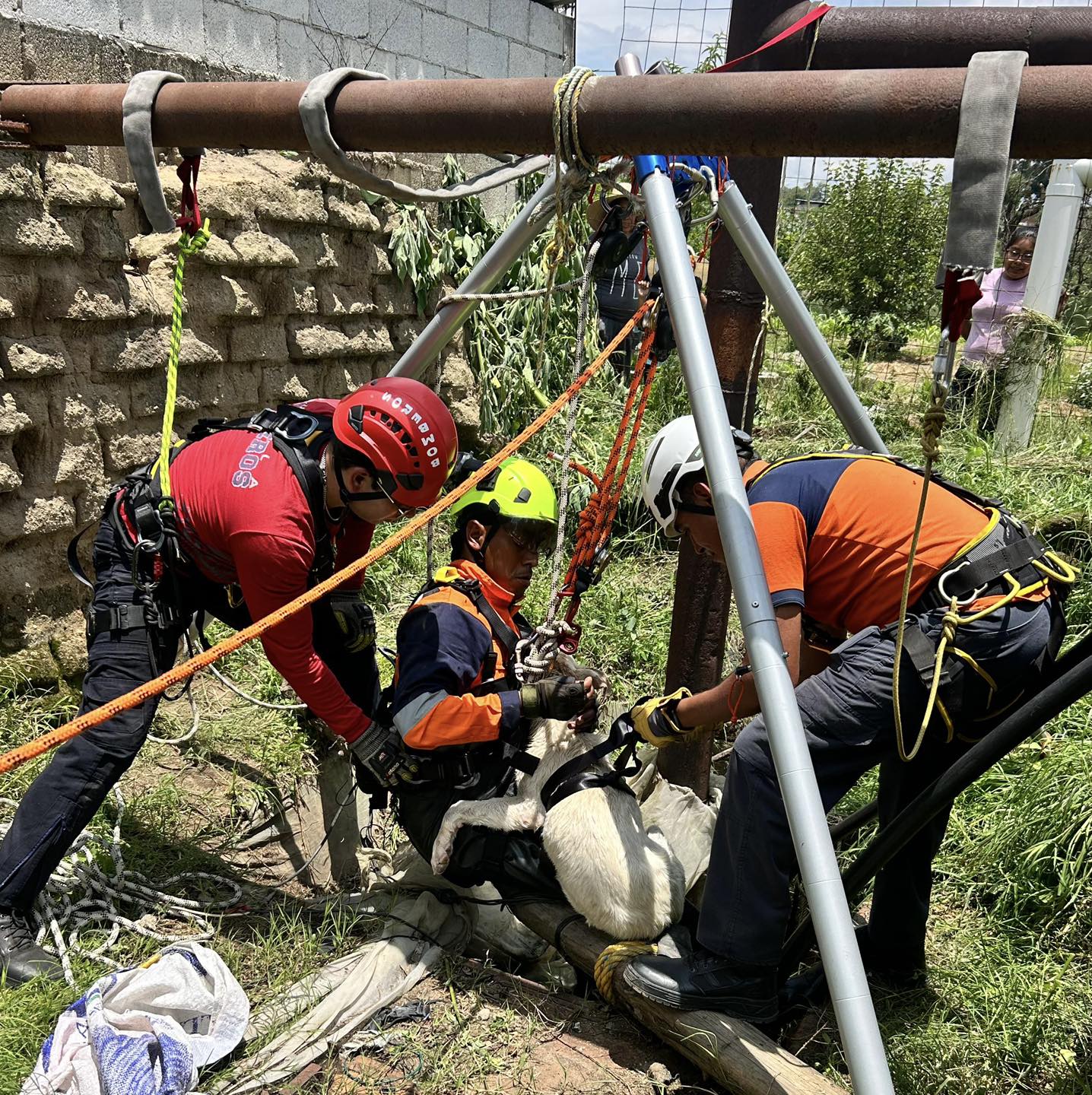 Bomberos de San Andrés Cholula rescatan a perrito que cayó a un pozo de 25 metros en San Luis Tehuiloyocan