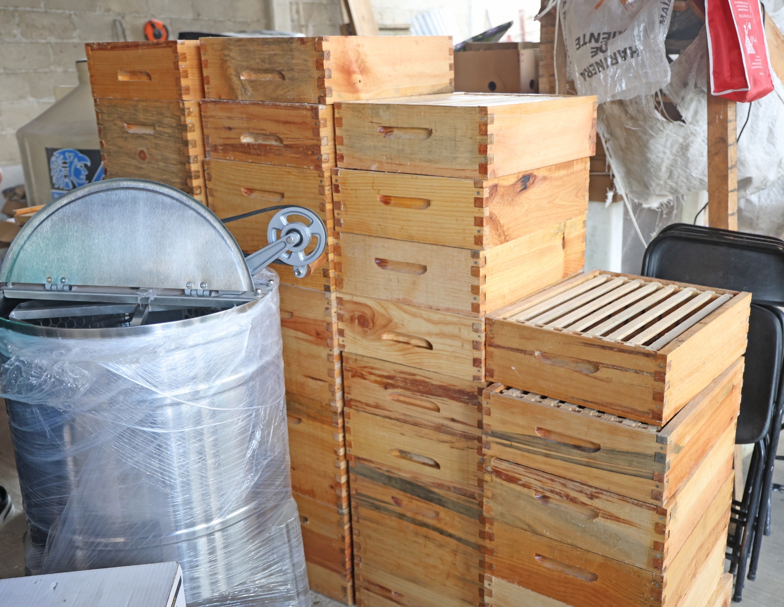 oma dona mitad de salario 4