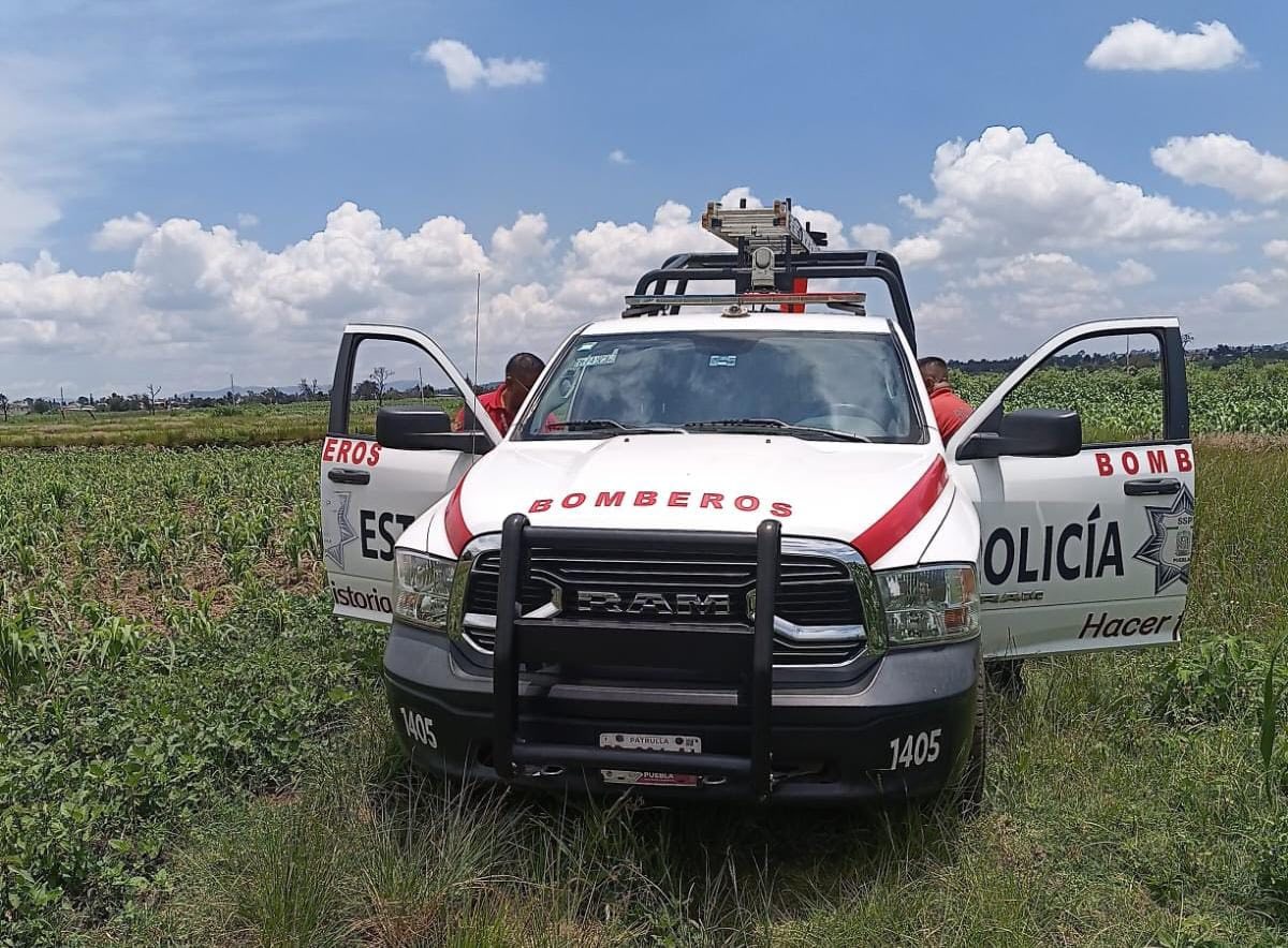 Rescatan a perrito que cayó a una barranca en San Martín Zoquiapan