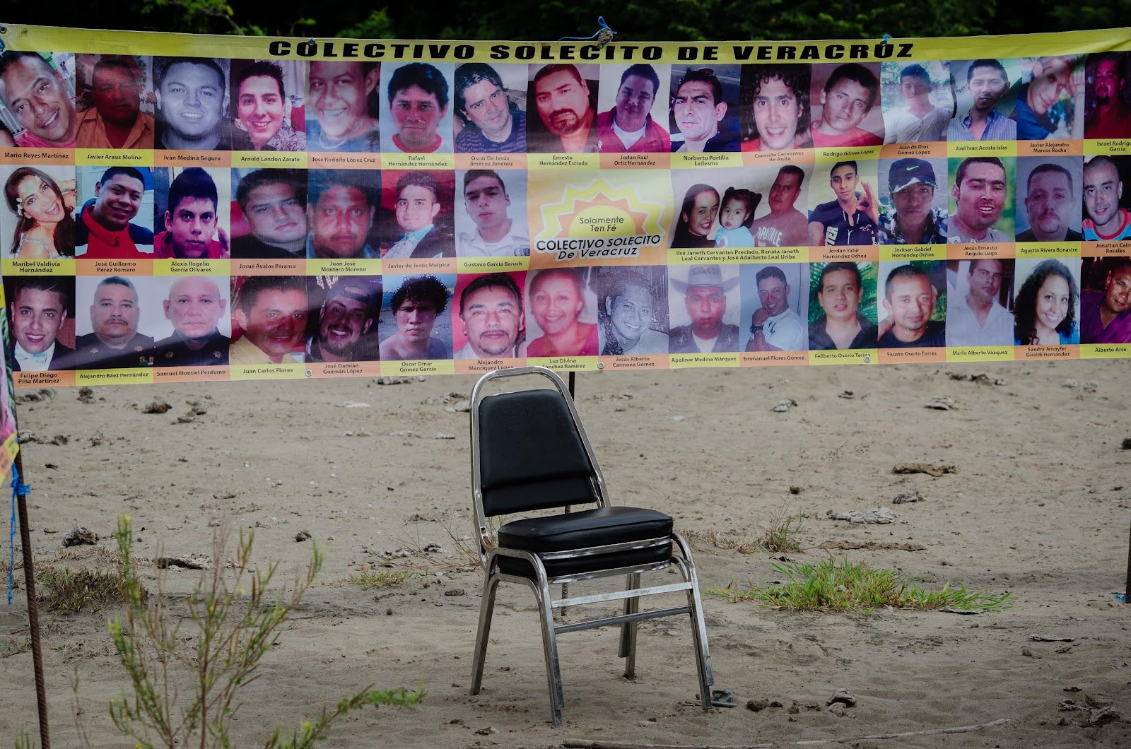 Ciencia y drones: así buscan fosas clandestinas en México con cerdos