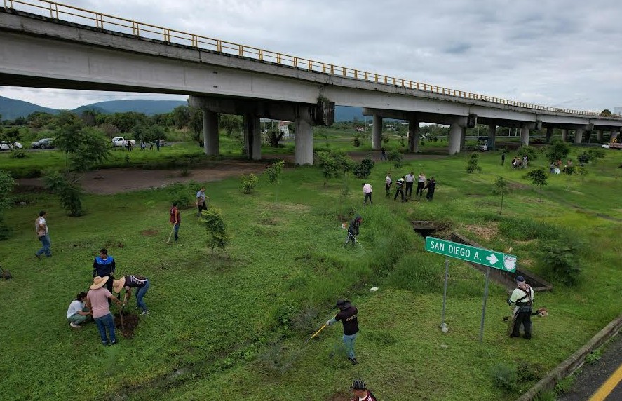 Reforestan puente Cantarranas con más de 100 árboles