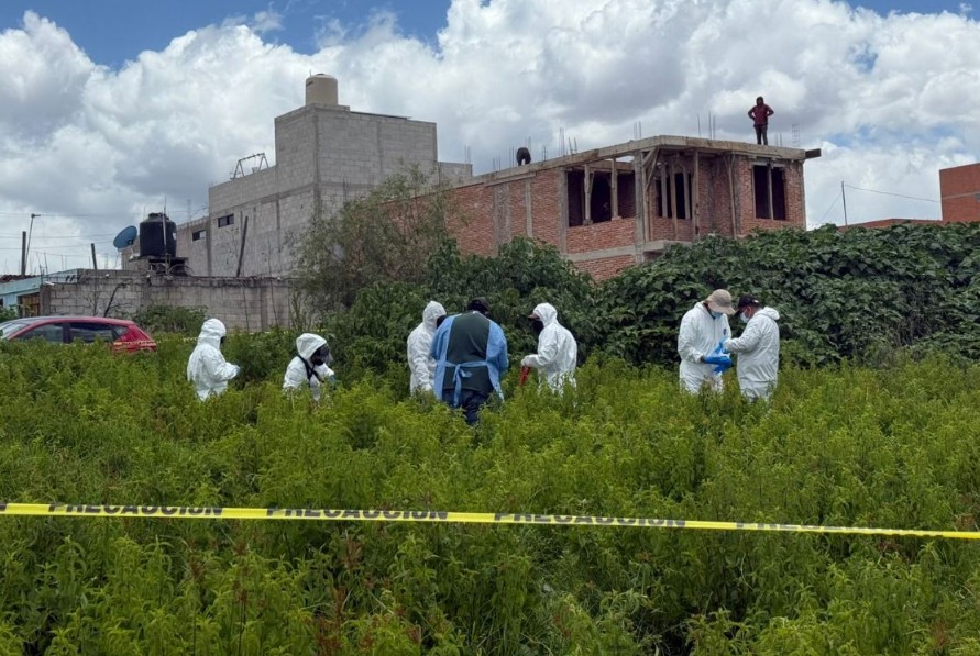 Exhuman cuerpo de perro por presunta crueldad animal en Puebla