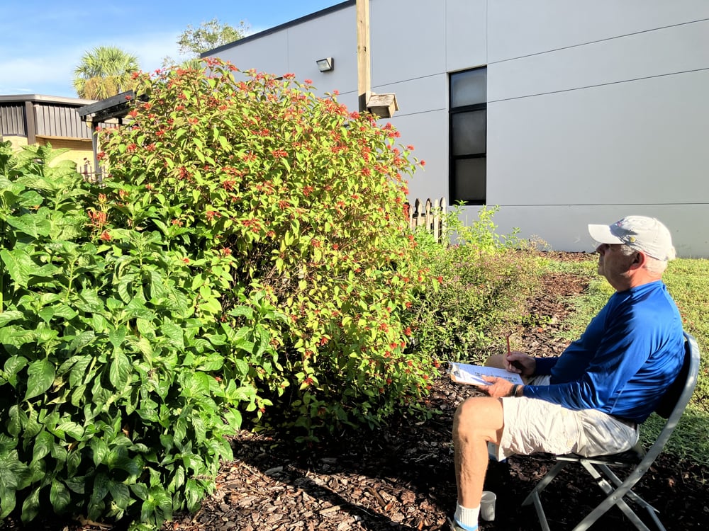 ¿Por qué es importante contar a los polinizadores?