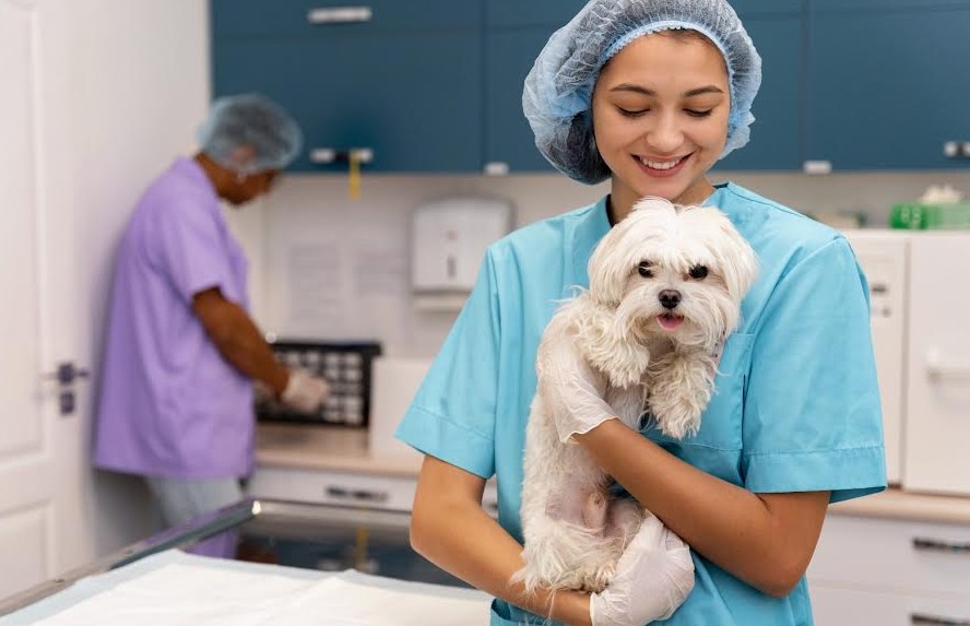 La convivencia con mascotas exige mayor prevención de zoonosis