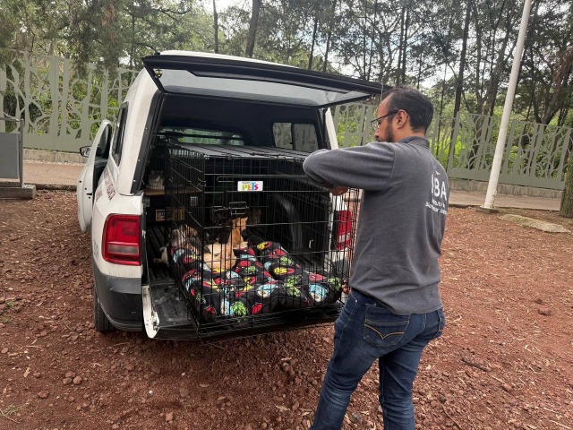 Gobierno de Puebla construirá Centro de Bienestar Animal