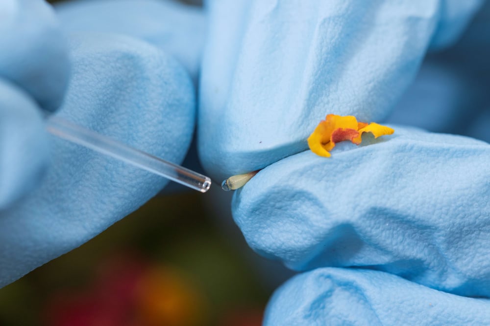 Fotografía de Tyler Jones, UF/IFAS. 