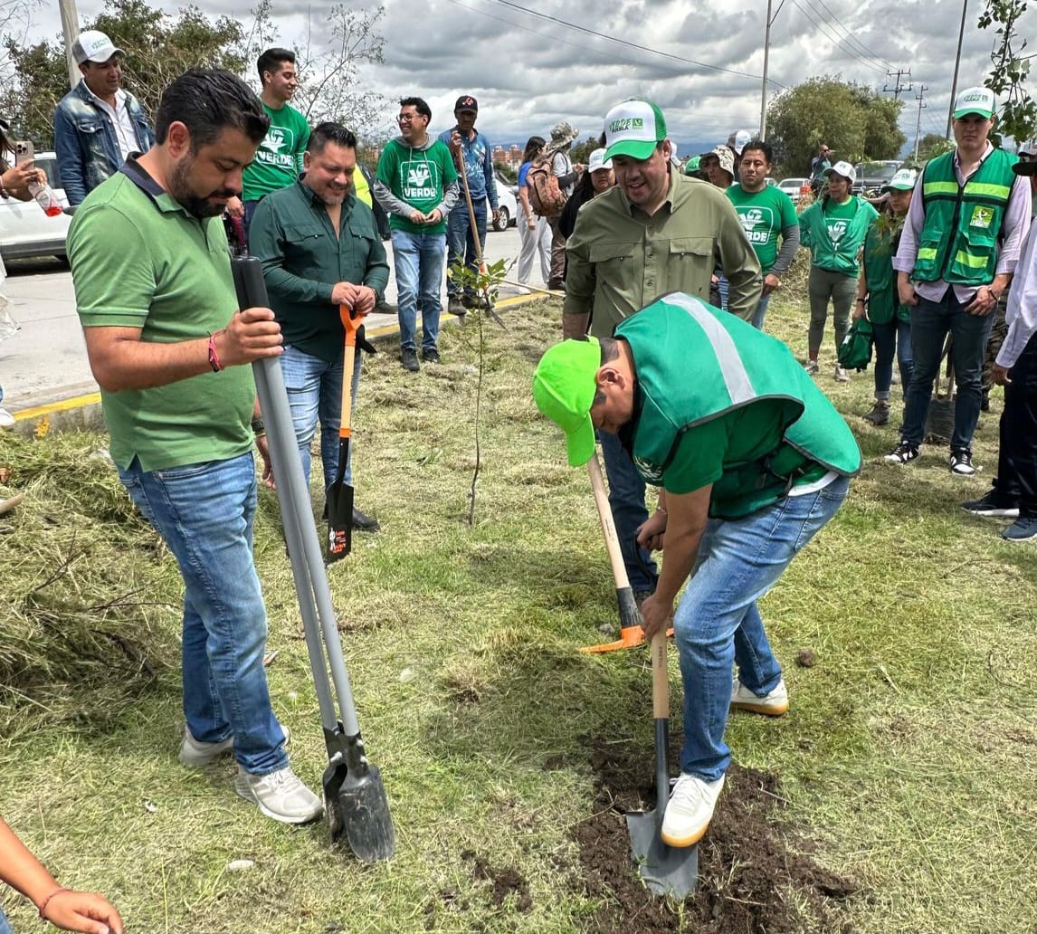 Partido Verde realiza jornada de reforestación en San Martín Texmelucan