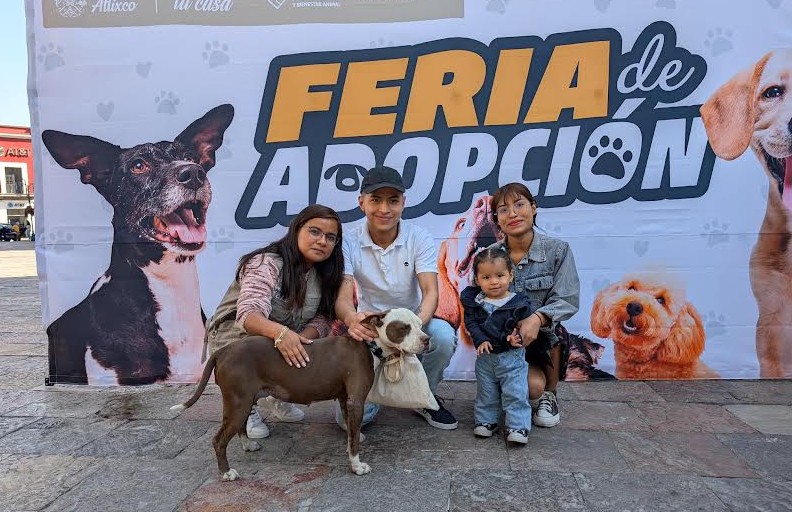 Atlixco promueve el bienestar animal con jornadas de adopción responsables