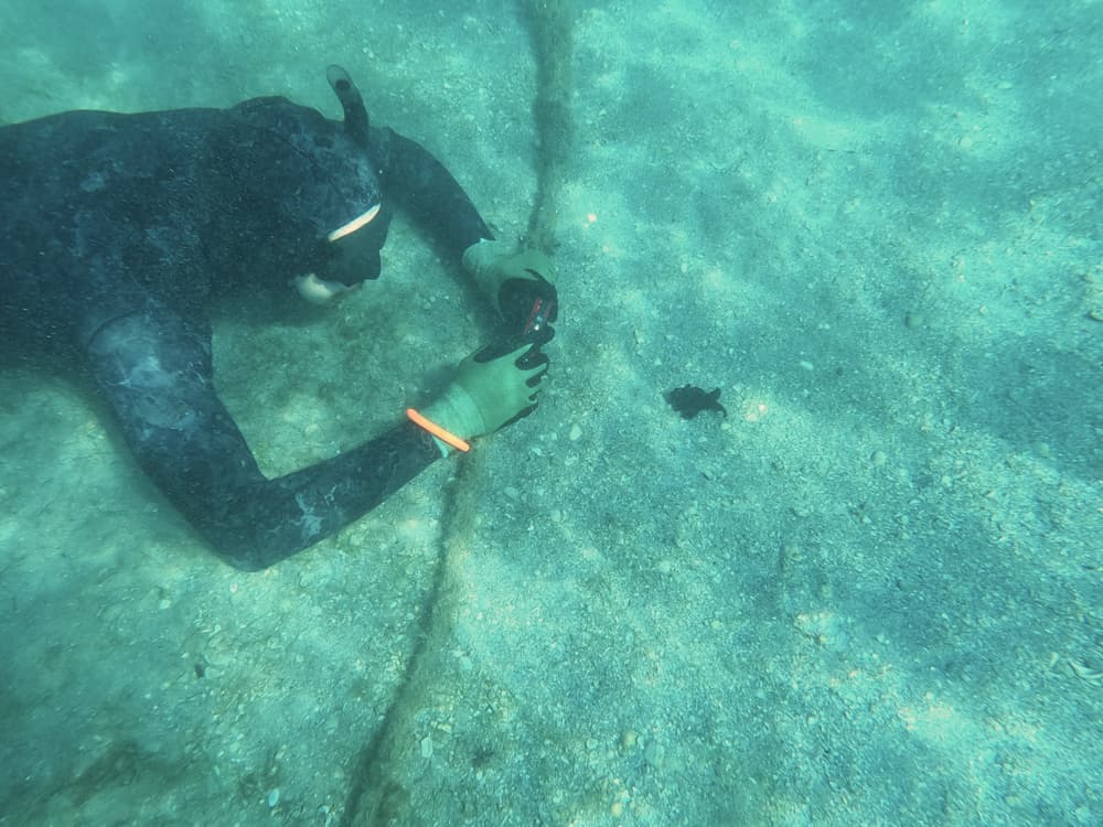 Romer fotografiando vida marina. Foto de Alex Romer, UF/IFAS