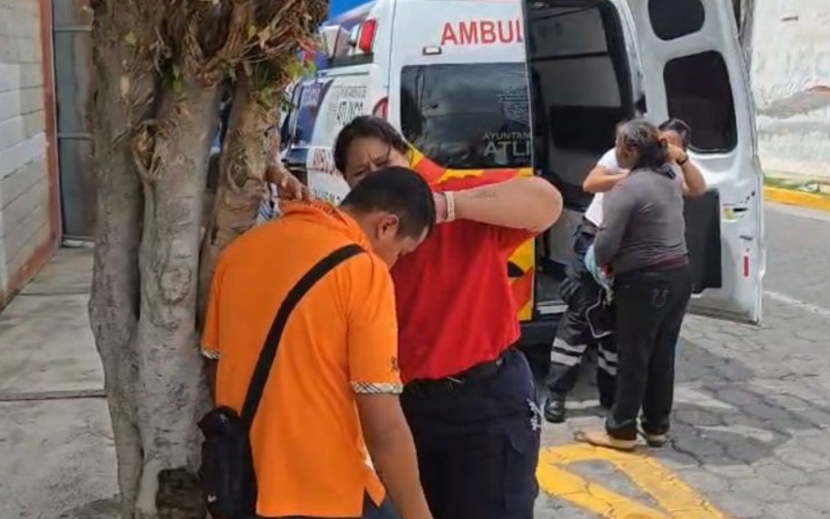 Ataque masivo de abejas deja al menos 20 heridos en Atlixco