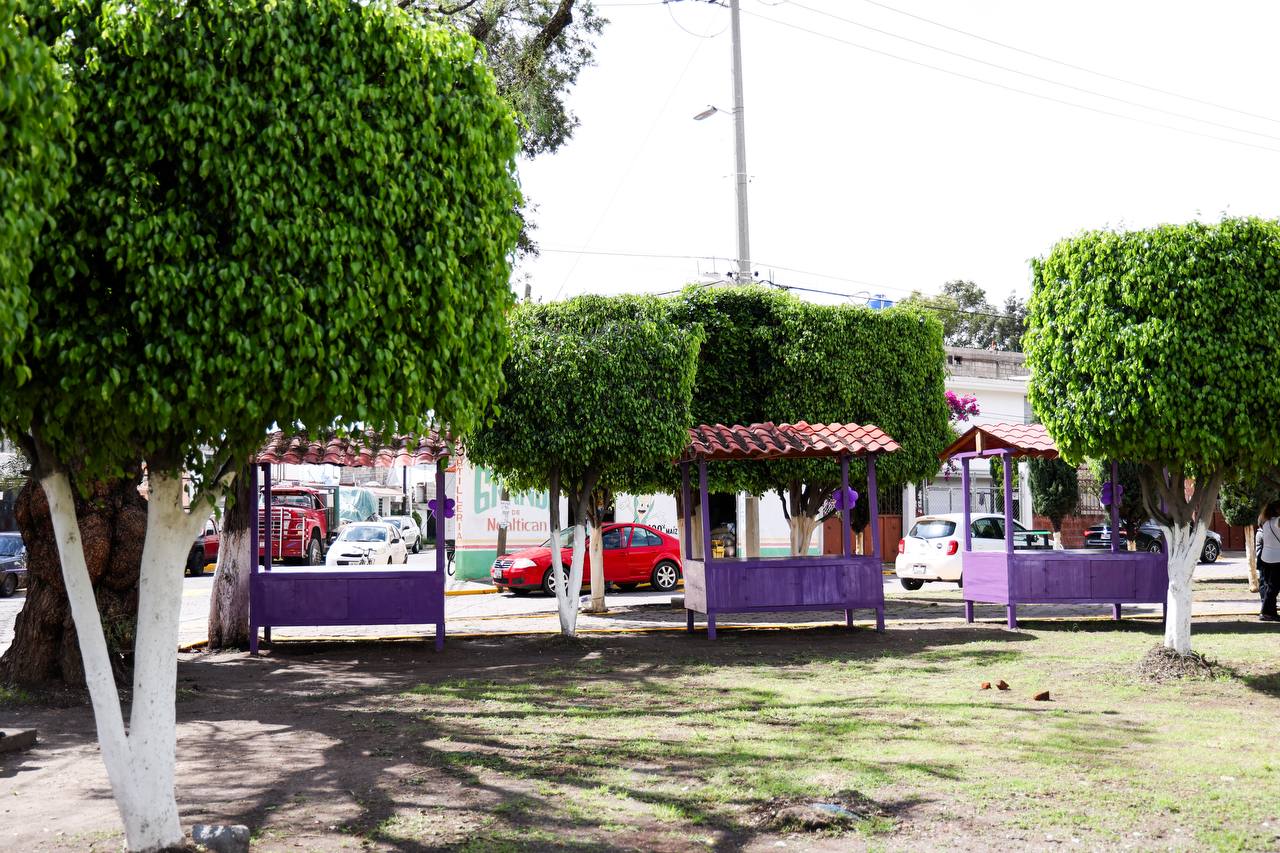 Lleva Guadalupe Cuautle “Apropiación Violeta” a Concepción La Cruz con acciones de prevención y rehabilitación