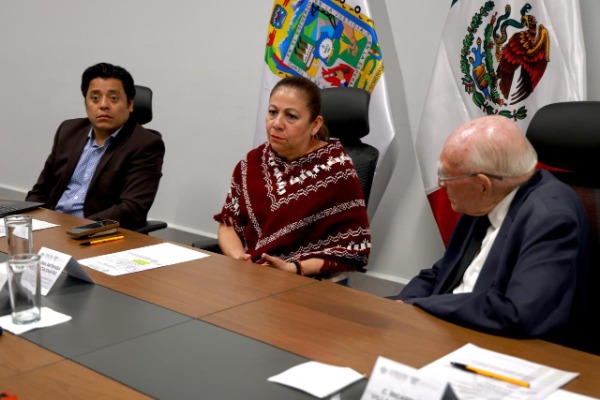 No habrá cambios al artículo que sanciona el espionaje digital: Laura Artemisa García