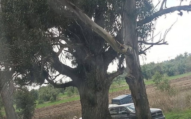 Localizan cuerpo embolsado en Huejotzingo, Puebla