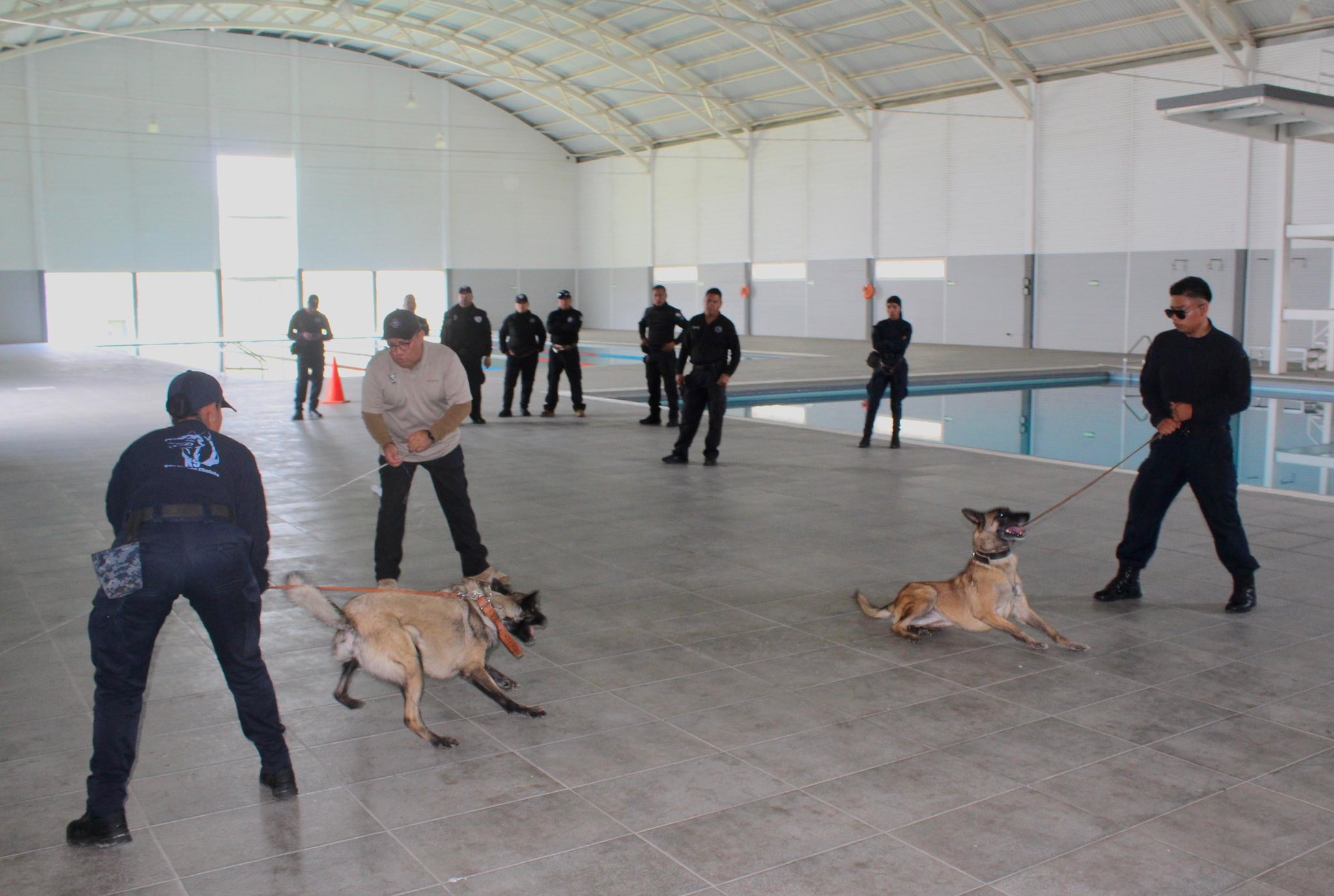 capacitacion unidad canina sach 4