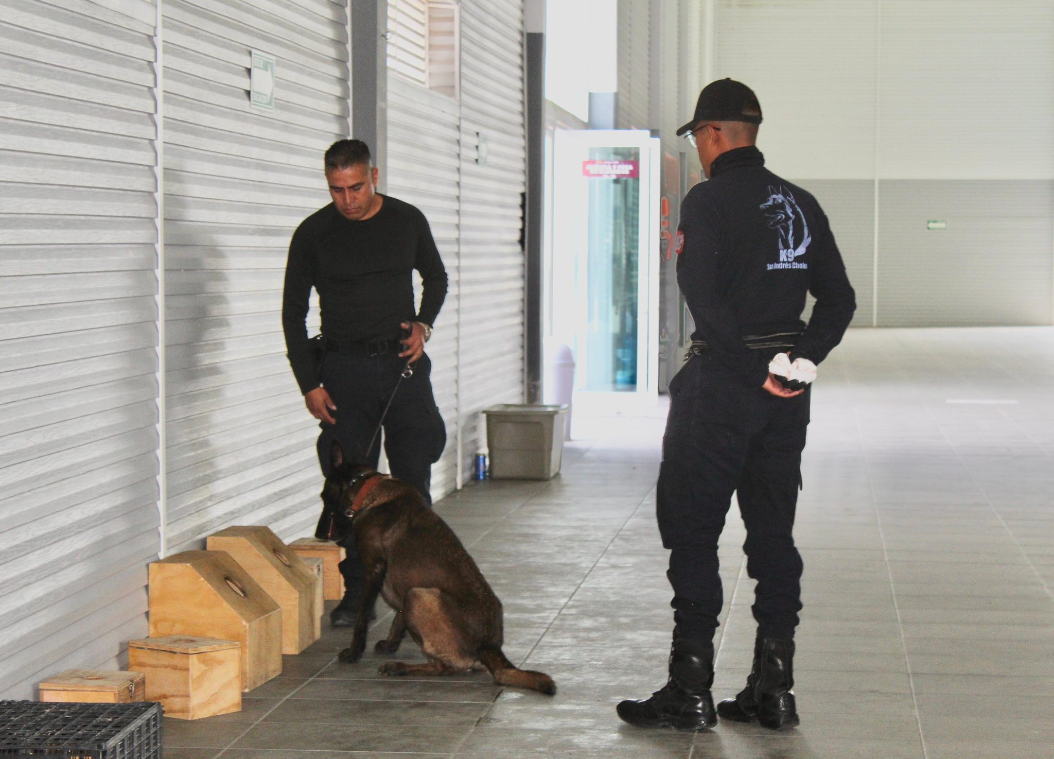 capacitacion unidad canina sach 5